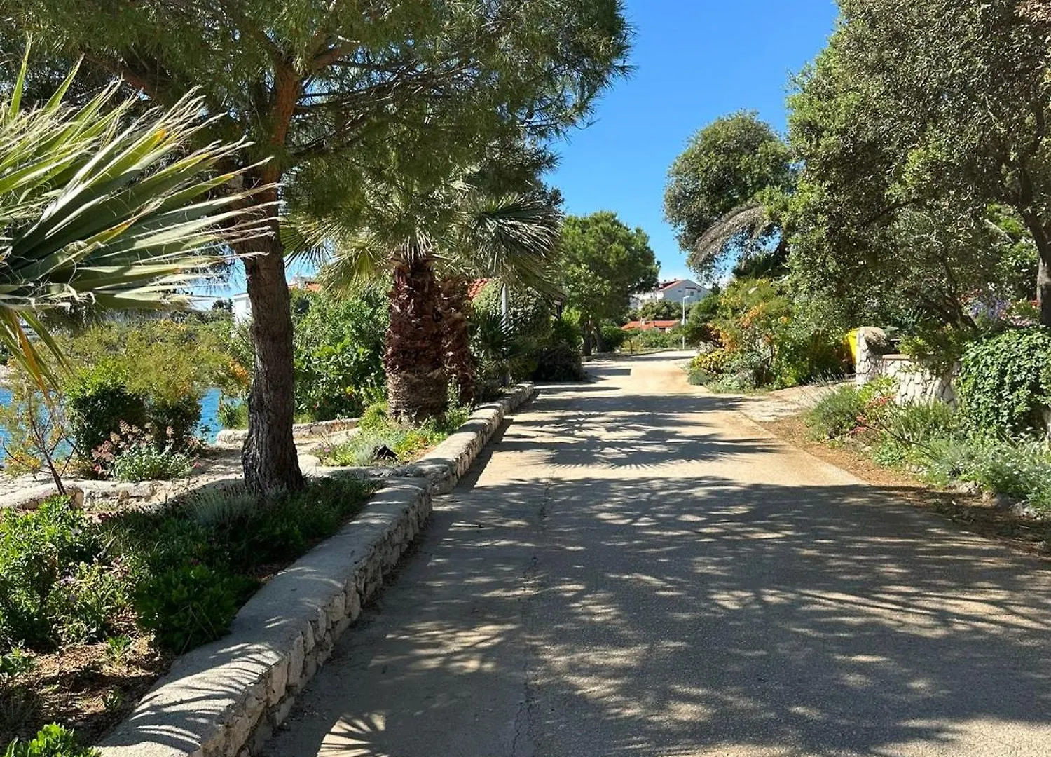 Appartement Terra Oliva Mandre Croatie